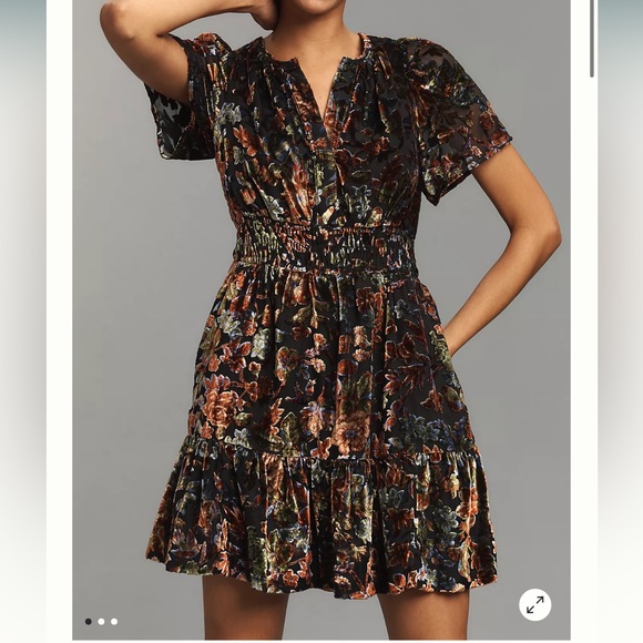 Anthropologie Dresses & Skirts - NWT Anthropologie Somerset Floral Velvet Mini Dress Size Small Boho Fall Event